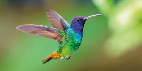 La compañía Ursa presenta la memoria de Responsabilidad Social Corporativa de 2023