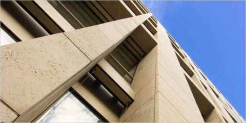 Pegoland Profesional Max S1, la última innovación en adhesivos de Grupo Puma