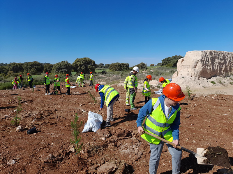 Alumnos del colegio público Miguel de Cervantes plantan árboles en la cantera de Valdilecha de Cemex