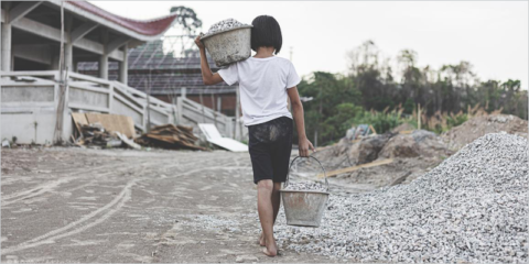 La UE respalda nuevos estándares ambientales y de derechos humanos en las cadenas de suministro
