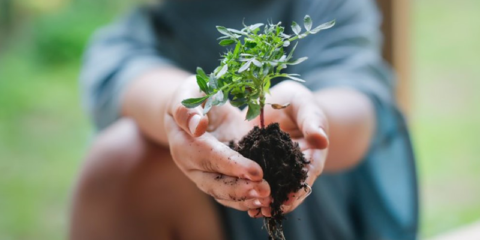 Schneider Electric publica sus avances en sostenibilidad durante el primer trimestre de 2024