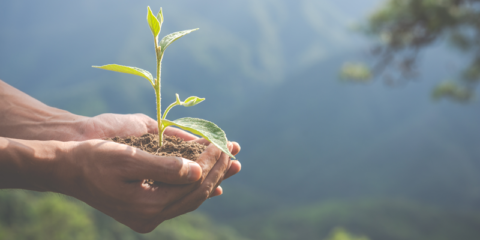 El sistema de ventilación mecánica controlada de Siber obtiene la Declaración Ambiental de Producto