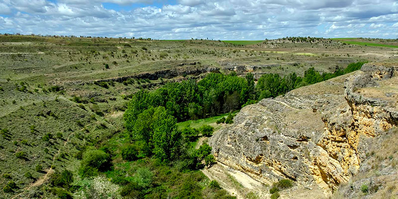 Abierta la licitación para la redacción de la estrategia de biodiversidad de la ciudad de Segovia