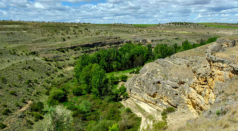 Abierta la licitación para la redacción de la estrategia de biodiversidad de la ciudad de Segovia