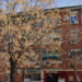 Abierta la licitación para mejorar la accesibilidad de una promoción de viviendas públicas en Granada