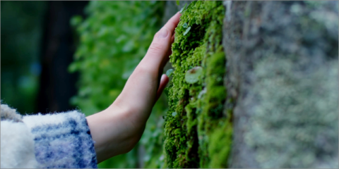 Danosa crea la Fundación Manuel del Río Domínguez para apoyar el emprendimiento de estudiantes