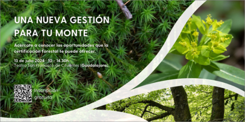 Forest Stewardship Council participa en una jornada sobre la certificación forestal en Cifuentes