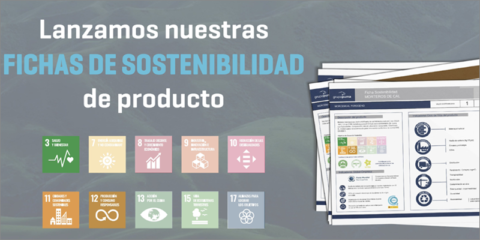 Las nuevas fichas del Grupo Puma analizan el ciclo de vida de cada producto y su nivel de sostenibilidad