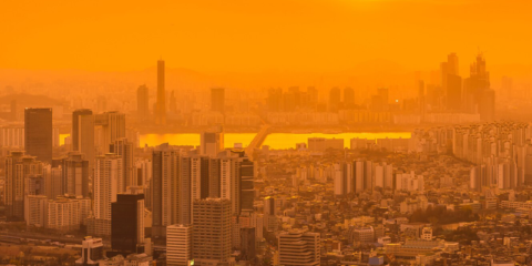 La PTE-ee organiza un taller online sobre la isla de calor para lograr ciudades descarbonizadas en 2050