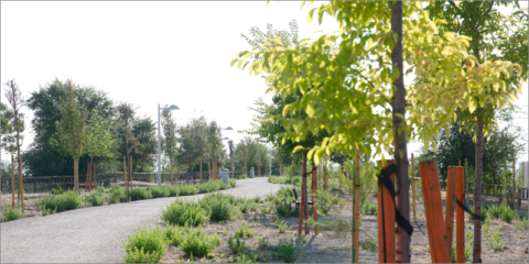 Finaliza la transformación de la zona verde del barrio El Cañaveral en Madrid