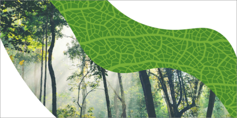 Nuevo manual para ayudar a incorporar criterios de sostenibilidad en la contratación pública