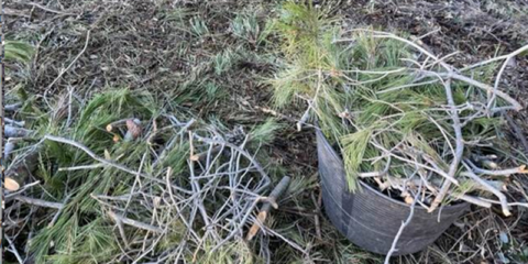 El proyecto Tabiol desarrolla nuevos procesos industriales para fabricar tableros y paneles más sostenibles