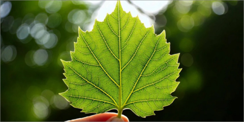 La familia de puertas automáticas Manusa Visio+ obtiene la Declaración Ambiental de Producto