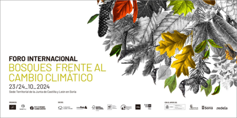 FSC España participará en el foro internacional ‘Bosques frente al cambio climático’