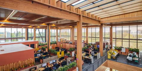 El edificio de oficinas de Google en Sunnyvale está construido con madera certificada FSC