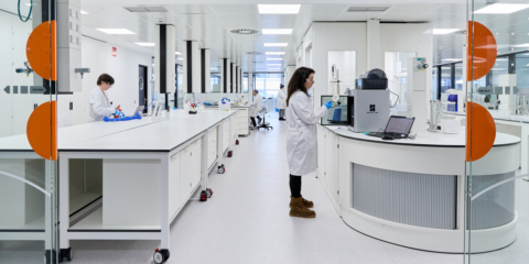 Focos estratégicos de excelencia y tecnologías críticas, ejes del Plan Estratégico 2025-2027 de Tecnalia