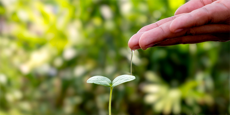 Convocatoria de propuestas para proyectos de transición verde