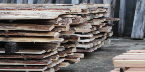 Navarra lanza ayudas por valor de 1,2 millones de euros para transformar la industria maderera