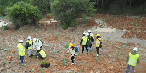 Más de 60 alumnos participan en la restauración de la cantera de Cemex en Can Xumeu