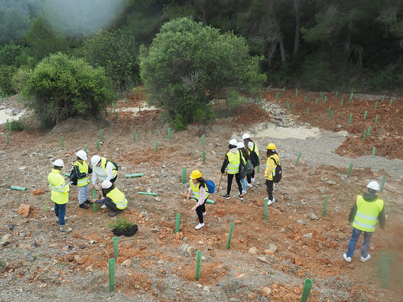 Estudiantes de Sant Jordi participan en la restauración de la cantera de Can Xumeu