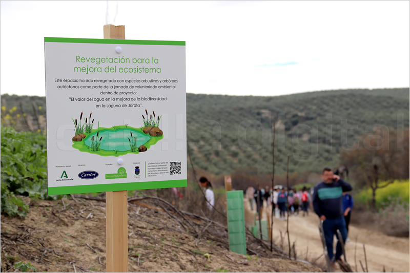 Carrier participa en una jornada de reforestación para proteger la biodiversidad de la Laguna de Jarata