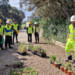 Más de 30 alumnos participan en la reforestación de la cantera de Cemex en Alaior