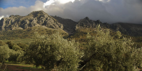 Andalucía subvencionará proyectos de educación y sensibilización ambiental en el medio rural