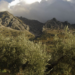 Andalucía subvencionará proyectos de educación y sensibilización ambiental en el medio rural