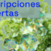 Nuevo programa de aceleración de proyectos tecnológicos para lograr edificios de consumo casi nulo