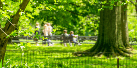 Presentadas 87 propuestas a las ayudas para la renaturalización y resiliencia de las ciudades