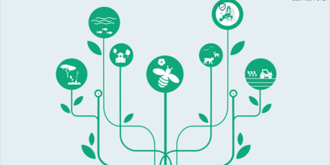 Un informe del JRC evalúa el progreso de la Estrategia de la UE sobre Biodiversidad para 2030