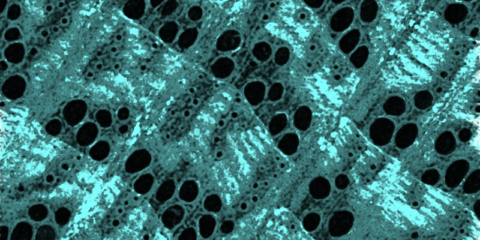 Investigadores de EE.UU. logran aumentar la resistencia de la madera con nanopartículas de hierro