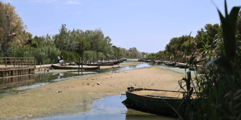 Un proyecto transformará los lodos de la DANA del Puerto de Catarroja en materiales de construcción