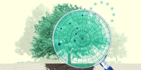El Consejo Europeo respalda un nuevo marco de seguimiento para una gestión forestal más sostenible