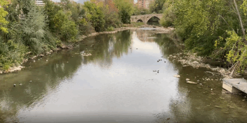 Luz verde al Plan de Infraestructura Verde y Azul y Drenaje Urbano Sostenible de Pamplona
