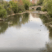 Luz verde al Plan de Infraestructura Verde y Azul y Drenaje Urbano Sostenible de Pamplona