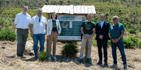 FSC España coordina la reforestación de 25 hectáreas del monte Las Piñas de Tarifa