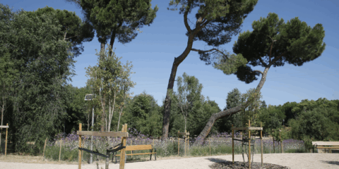 El Ayuntamiento de Madrid transforma la Colonia de Santa María en un espacio verde accesible