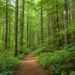 Nueva hoja de ruta para incentivar inversiones privadas en acciones que protejan la naturaleza en la UE