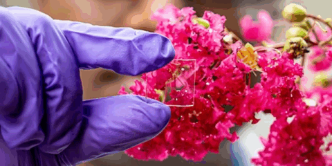 Investigadores crean un revestimiento para vidrio que reduce el consumo energético en edificios