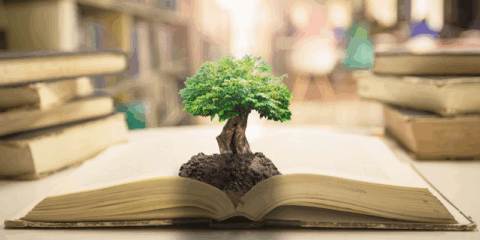 La Comisión Europea solicita comentarios para simplificar la legislación medioambiental