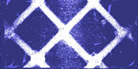 Edificios más eficientes a través de un nuevo material inspirado en la fisiología de algunos mamíferos