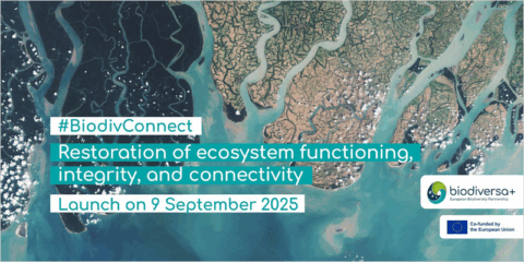 La convocatoria BiodivConnect financiará proyectos que impulsen la restauración de los ecosistemas