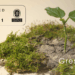 Gresmanc Group impulsa la sostenibilidad al renovar las certificaciones ISO 9001 y 14001