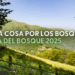 La Semana del Bosque FSC promueve la selvicultura sostenible y el consumo responsable