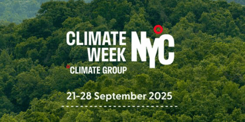 La organización FSC impulsará la gestión sostenible de los bosques en la Semana del Clima de Nueva York