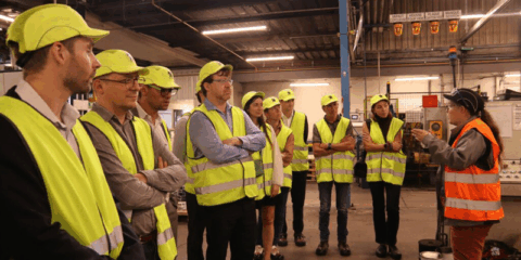 Arranca el proyecto Hibiscus para desarrollar nuevos materiales de construcción de origen biológico