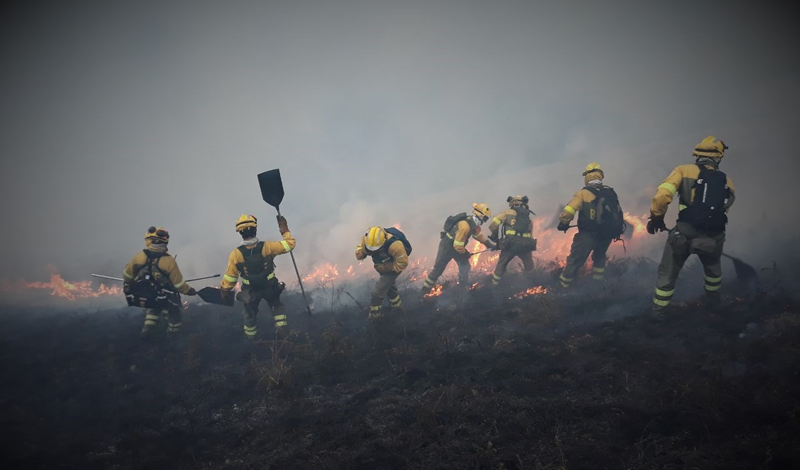 España se enfrenta a 141 riesgos climáticos que afectan a la salud, la economía y la biodiversidad