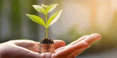 Nuevas normas para simplificar la divulgación de información sobre finanzas sostenibles en la UE