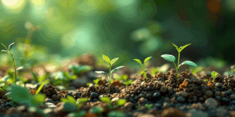 El proyecto InduCES ayudará a las empresas industriales de Canarias a reducir su huella ambiental